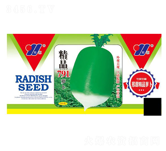 精品791蘿卜-青蘿卜種子-邢源農業(yè)