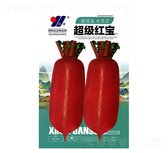 超級(jí)紅寶-青蘿卜種子-邢源農(nóng)業(yè)