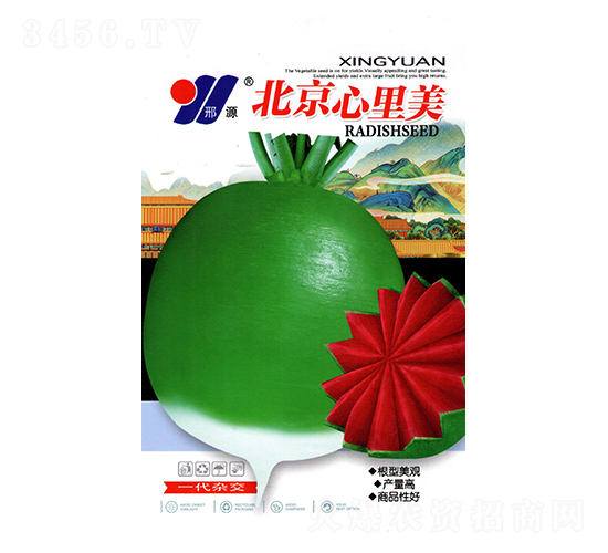 北京心里美-青蘿卜種子-邢源農業(yè)