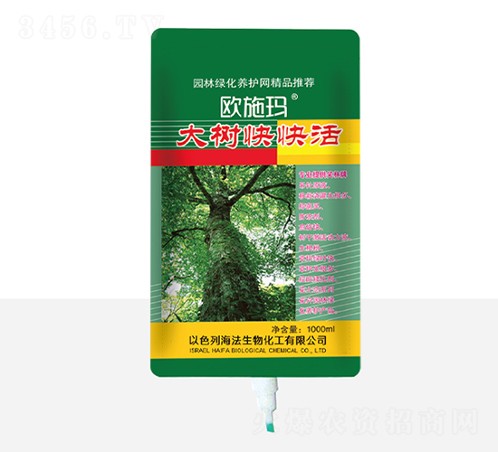 ������-һ������