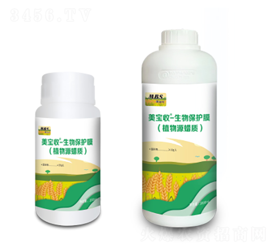 ���ﱣ�o(h��)Ĥ-������-�M������