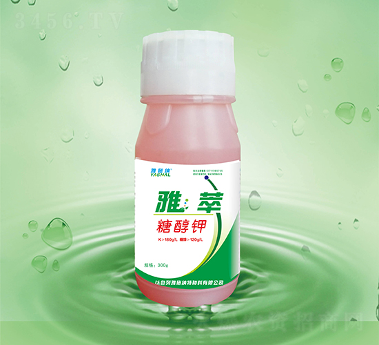 �Ǵ��-����-��ʩ�{