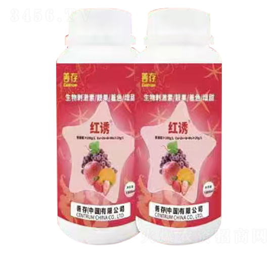 ����̼��أ��n����ɫ����-�t�T-�ƴ�����