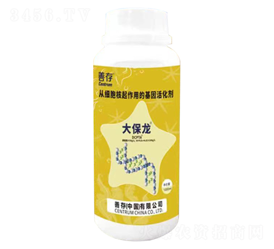 ����-�ƴ�����