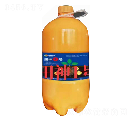 ����0̖-��������