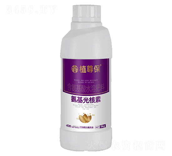 ���������-ֲ��-���ֿ�