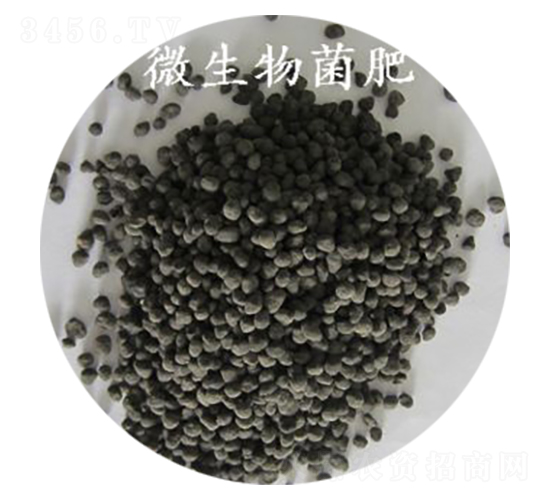 ΢�������-�ָ���