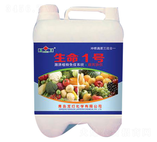 ����1̖-����-����