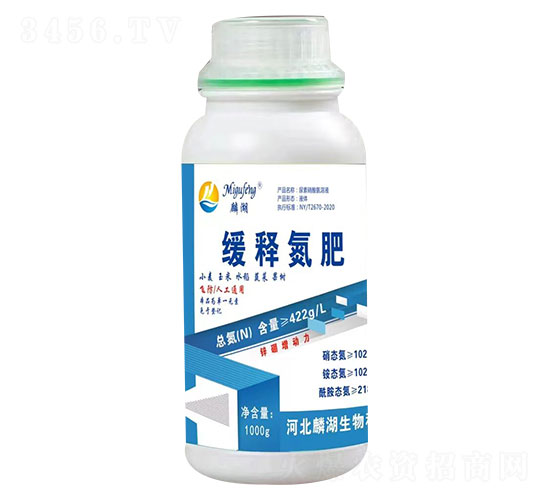 ��ጵ���-�������