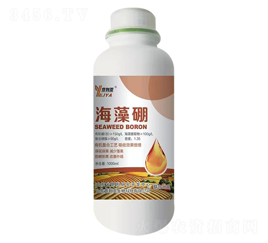 ������-������