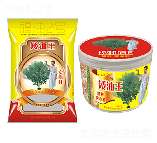 �Ͳ˷N��-������(����2̖(h��o))-��̷N�I(y��)