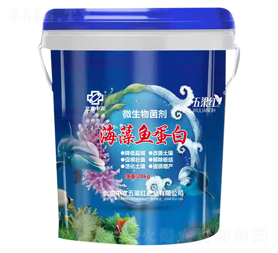 �����~(y��)����-�����t