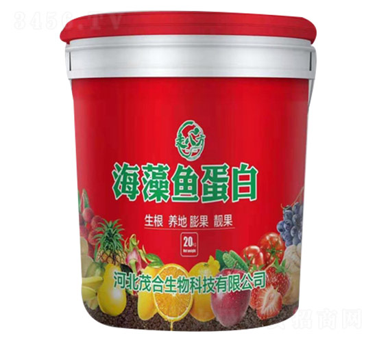 �����~����-�߰˷�-ï������