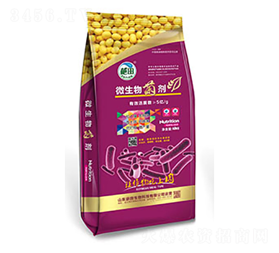 ��ɫ���b΢�������-��������