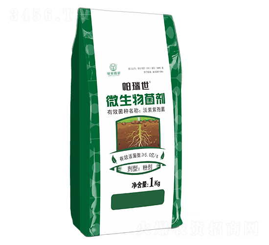 ΢�������-������-�G�����