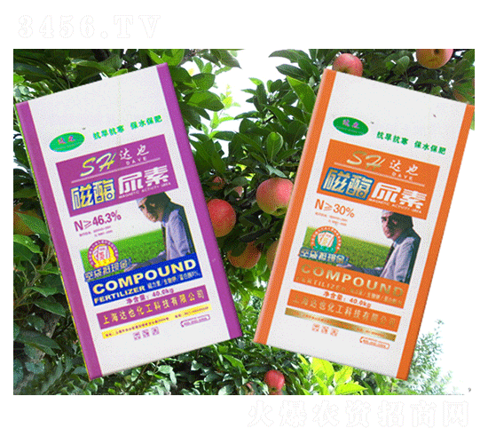 ��ø����-�_Ҳ����