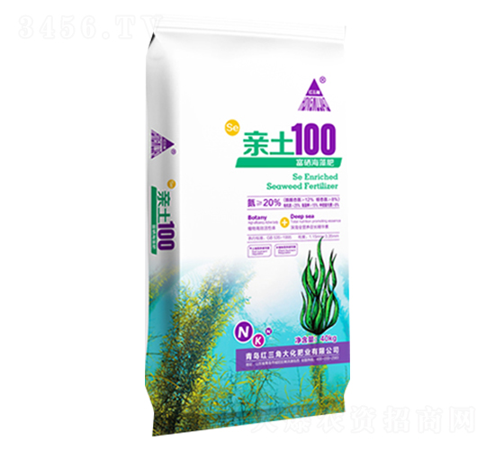 ���������-�t���Ǵ�