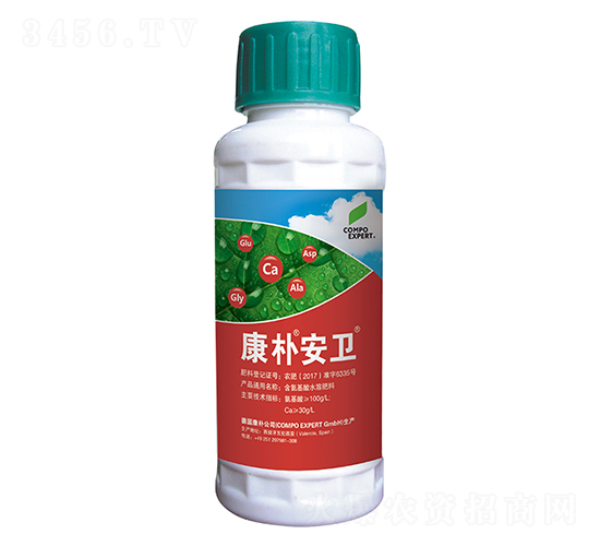 �~���-���㰲�l(w��i)-���A����