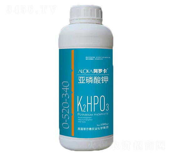 �������-�����_-�Ɲ��r(n��ng)��