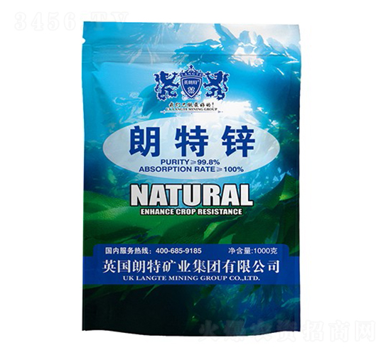 �����\-Ӣ����