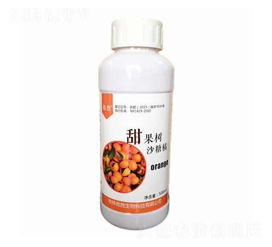 500ml沙糖橘甜果樹-桂開