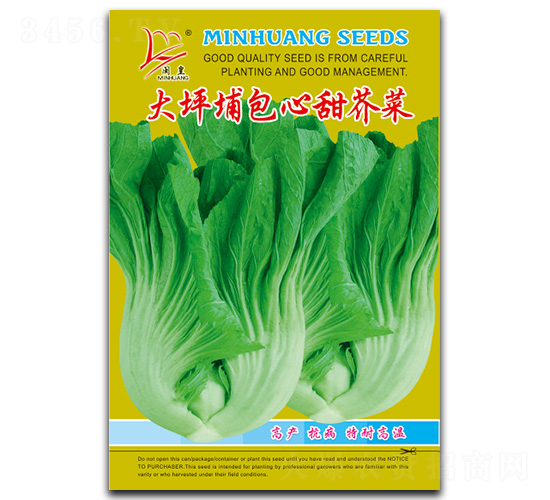 大坪捕包心甜芥菜-芥菜種子-閩皇種業(yè)