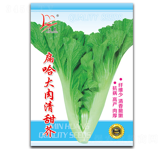 扁哈大清甜芥-芥菜種子-閩皇種業(yè)