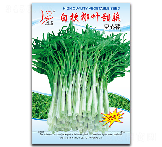 白梗柳葉甜脆空心菜-空心菜種子-閩皇種業(yè)