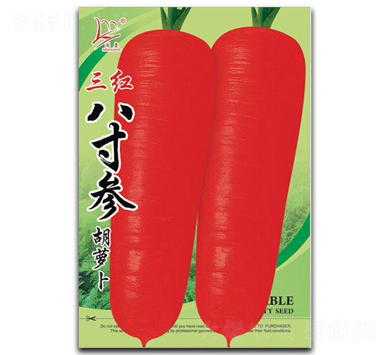三紅八寸參胡蘿卜-胡蘿卜種子-閩皇種業(yè)