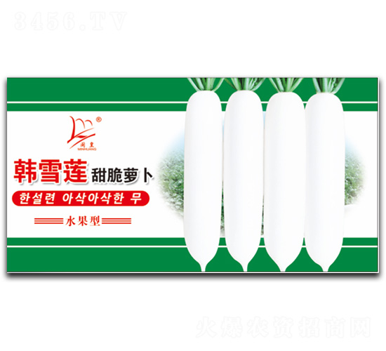 韓雪蓮甜脆蘿卜-蘿卜種子-閩皇種業(yè)