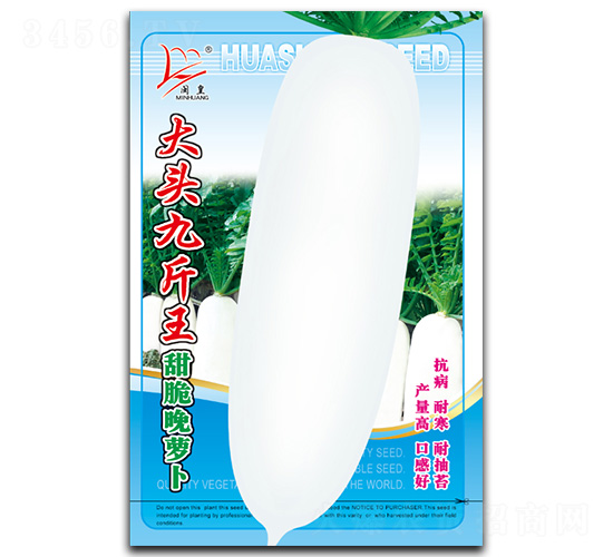 大頭九斤王-蘿卜種子-閩皇種業(yè)