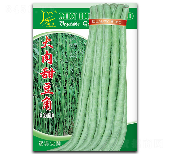 �����𶹽�-���ǷN��-�}�ʷN�I(y��)