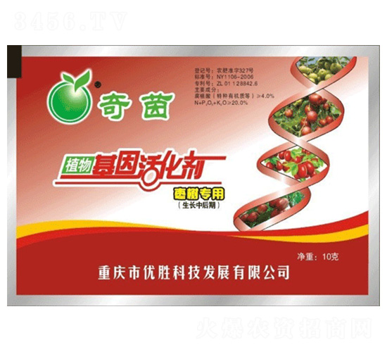 棗樹(shù)生長(zhǎng)中后期專用植物基因活化劑-奇茵-優(yōu)勝