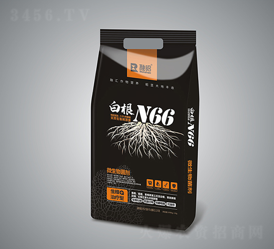 白根N66-融昭農(nóng)業(yè)