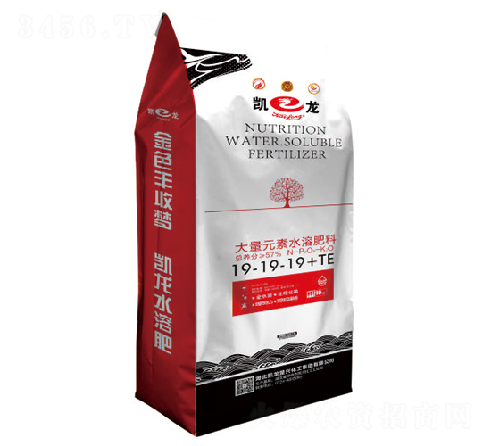 ����Ԫ��ˮ�ܷ���19-19-19+TE-�P��-�P�����d