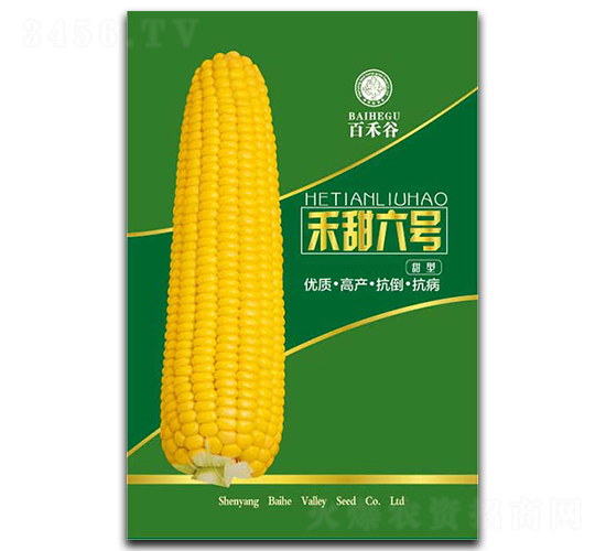 ������̖-Ŵ���׷N��-�ٺ̹�