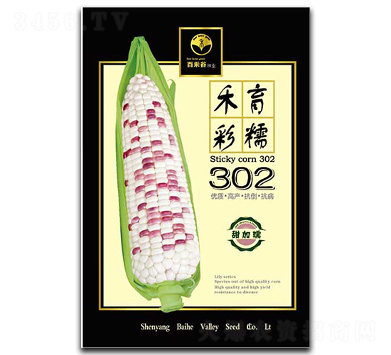 禾玉彩糯302-糯玉米種子-百禾谷
