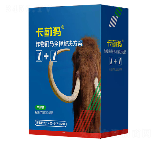 �߿��E�R��Чˎ ���E��1+1 ���σ�(y��u)ʿ