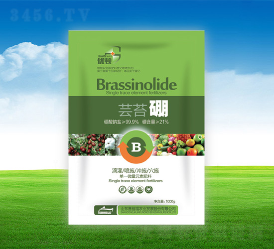 �|̦��-��(y��u)�D-�μѸ�