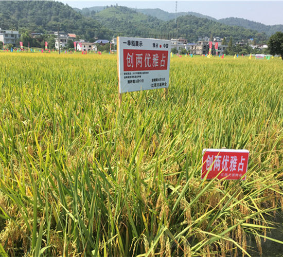 ��(chu��ng)�Ƀ�(y��u)��ռ-ˮ���N��-���ķN�I(y��)