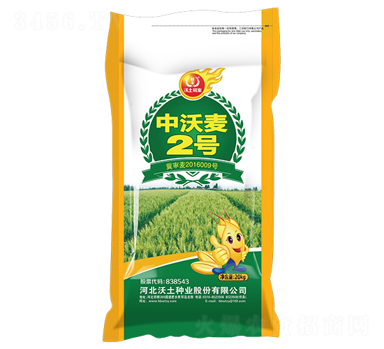 中沃麥2號-小麥種子-沃土種業(yè)
