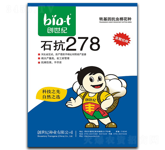 ʯ��278-�޻��N��-��(chu��ng)���o