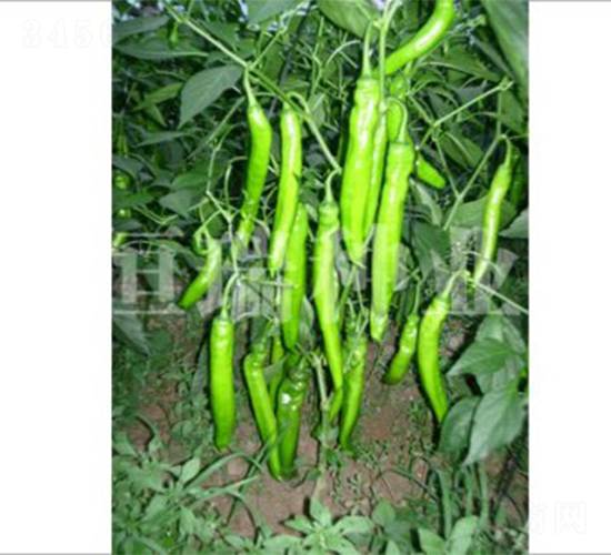 �|������-�����N��-����N�I(y��)