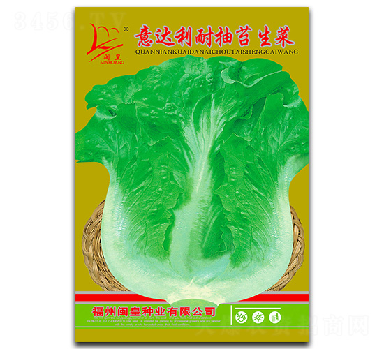 意達利耐抽苔生菜-生菜種子-閩皇種業(yè)