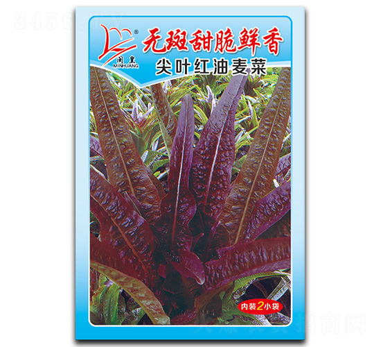 尖葉紅油麥菜-油麥菜種子-閩皇種業(yè)
