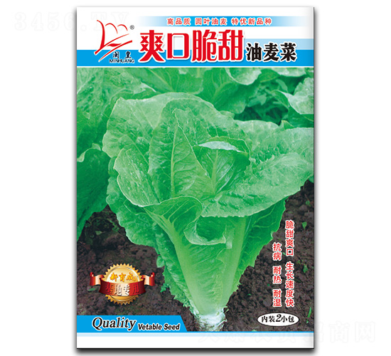 爽口脆甜油麥菜-油麥菜種子-閩皇種業(yè)