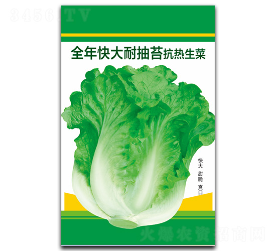全年快大耐抽苔抗熱生菜-生菜種子-閩皇種業(yè)