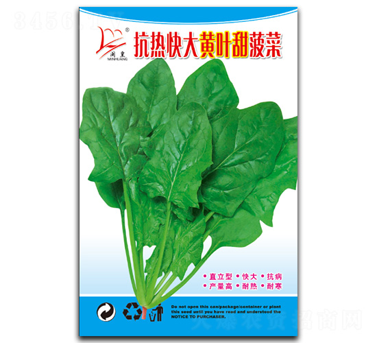 抗熱快大黃葉甜菠菜-菠菜種子-閩皇種業(yè)