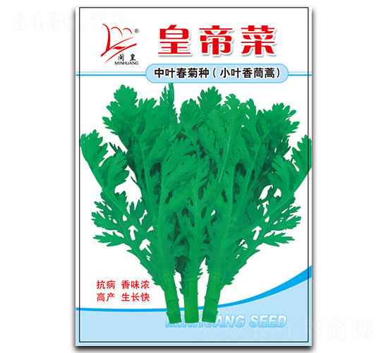 小葉香茼蒿-茼蒿種子-閩皇種業(yè)