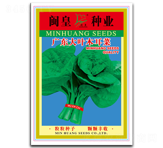 廣東大葉木耳菜-木耳菜種子-閩皇種業(yè)